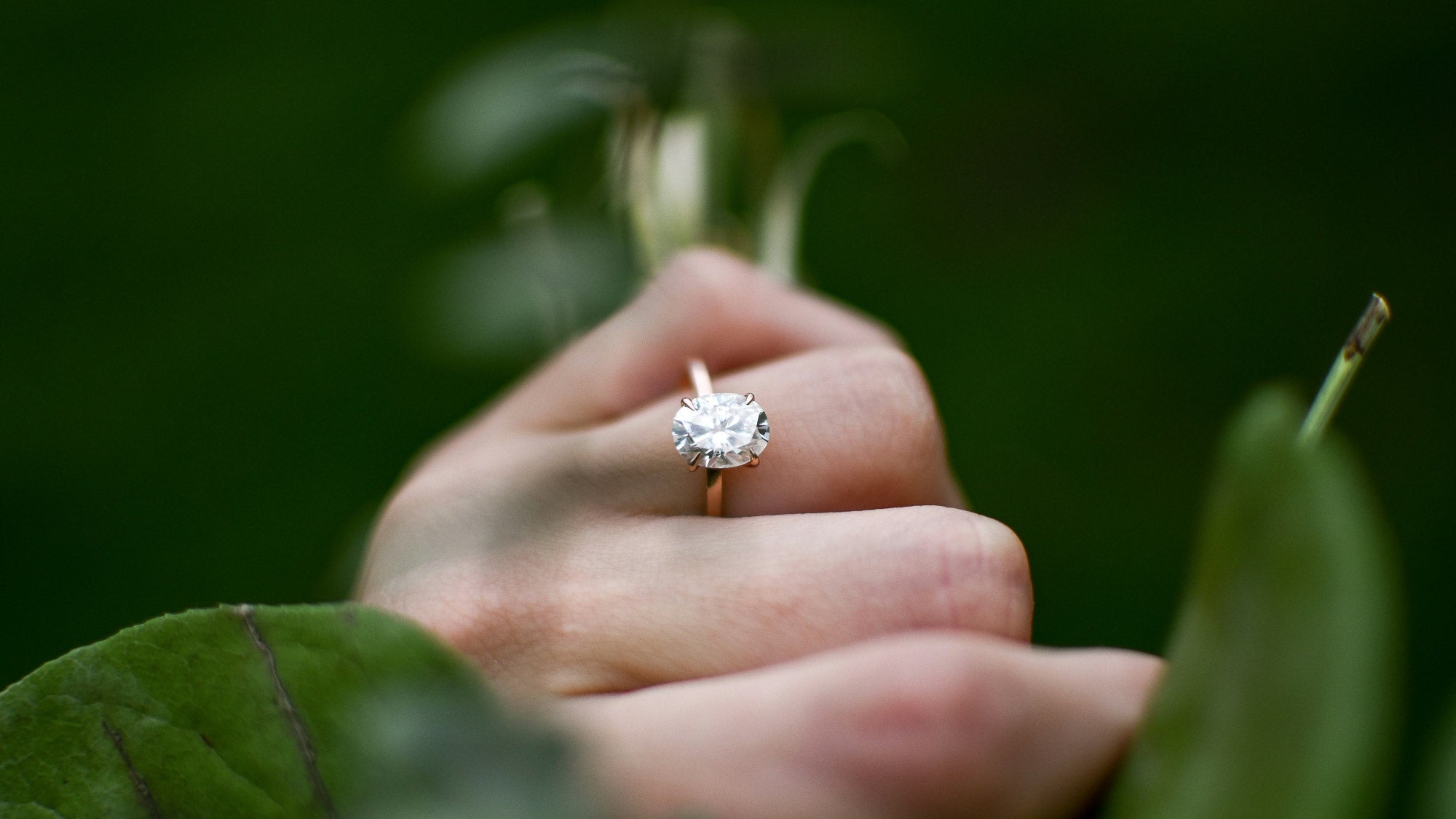Close up of a large carat oval cut diamond engagement ring on the hand surround by evergreen leaves