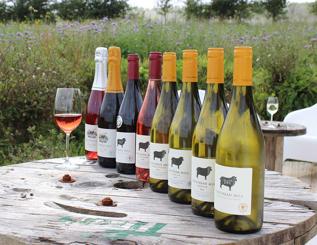 Assorted Trevibban Mill wine bottles for a wine tasting on a wooden table with a scenic background