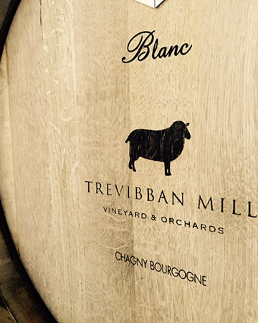 Wooden barrel with 'Trevibban Mill' branding and sheep silhouette